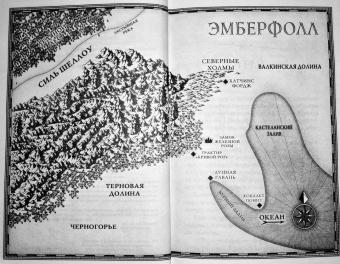 Бриджит Кеммерер: Клятва безумная и смертельная