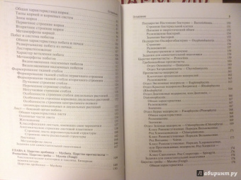 Барабанов, Зайчикова: Ботаника. Учебник