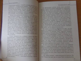 Джером Сэлинджер: Над пропастью во ржи