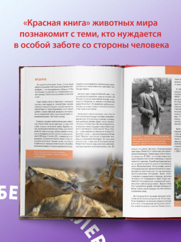 Скалдина, Слиж: Красная книга. Животные мира