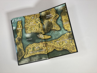 Ребекка Роанхорс: Черное Солнце