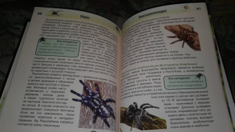 Людмила Соколова: Хочу знать. Пауки