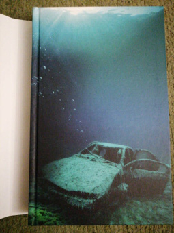 Линда Кейр: Темное озеро