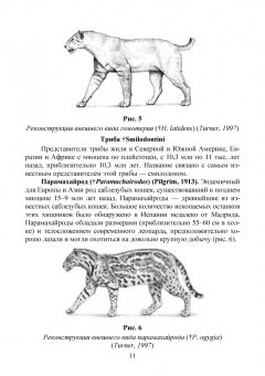 Веселова, Блохина: Биология, систематика и разведение кошачьих. Учебное пособие для вузов