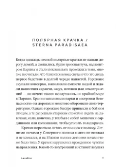 Андри Магнасон: LoveStar