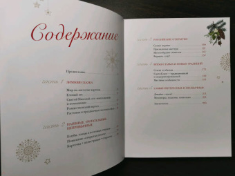 Виктория Ильина: С Новым годом и Рождеством! Иллюстрированная история новогодних открыток