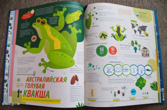 Пинтос, Ианнуззи: Как спит пчела? Удивительные факты о животных и их суперспособностях
