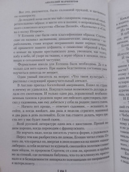 Анатолий Мариенгоф: Циники. Роман без вранья