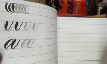 Анна Суворова: Каллиграфия кистью. Прописи. Латиница