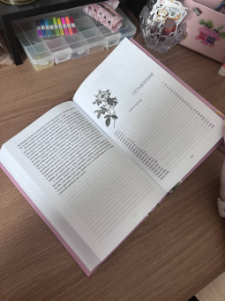 Джейн Остен: Гордость и предубеждение