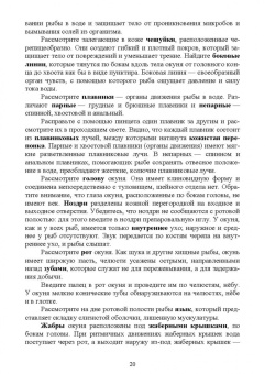 Гизатуллина, Макарова, Чернышова: Позвоночные животные. Учебное пособие