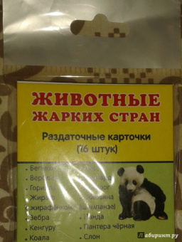 Раздаточные карточки "Животные жарких стран" (63х87 мм)