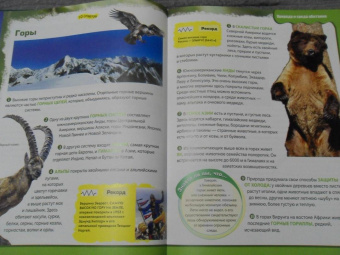 Вероника Пеллегрини: Вопросы и ответы обо всем на свете