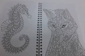 Раскраска антистресс. Животный мир