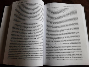 Роберт Говард: Конан-варвар. Алая цитадель