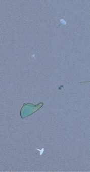 Ольга Кромер: Товарищи инструменты. Сказка в трёх частях