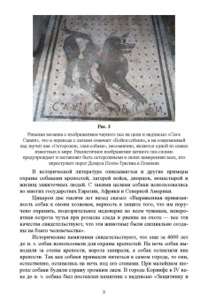 Владимир Евтухович: Караульные собаки в охране народнохозяйственных объектов и частных владений. Учебное пособие для СПО