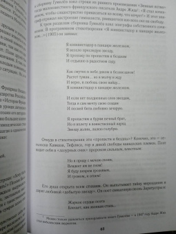 Владимир Полушин: Николай Гумилев. Жизнь расстрелянного поэта
