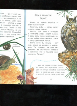 Виталий Танасийчук: Сколько глаз у стрекозы?