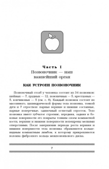 Анатолий Ситель: Все о позвоночнике. Большая книга