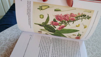 Майкл Аллаби: Скандальная правда о сексуальной жизни растений