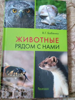 Владимир Бабенко: Животные рядом с нами