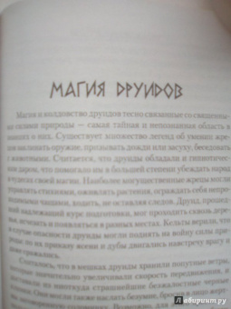 Виталий Молохов: Тайные знания друидов