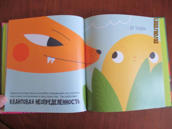 Алиса Ткачева: Квантовая физика