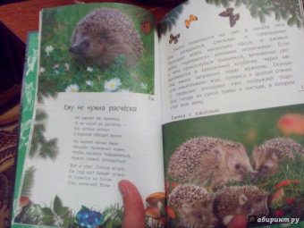 Александр Тихонов: Лесные тайны