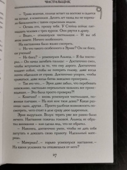 Эйке Шнайдер: Чистильщик
