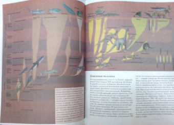 Большая детская иллюстрированная энциклопедия