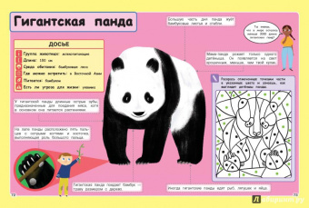 Стив Паркер: Дикие животные. Отправляйтесь в удивительный мир!