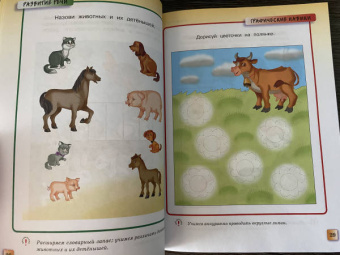 Ольга Земцова: Грамотейка. Интеллектуальное развитие детей 3-4 лет