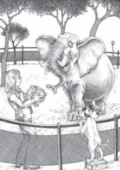 Игорь Жуков: Похитители старичков и старушек. Марка сказочника, или Опус, Кропус, Флопус!