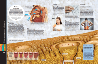 Маркус Джонсон: Тело человека. Виртуальная реальность