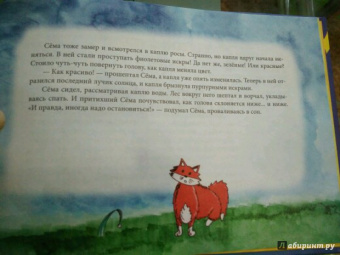 Лариса Кононова: Засыпай-ка. Сказки для лисенка Сёмы