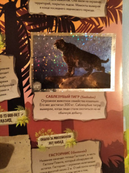 Альбом для коллекционирования наклеек "Зоопланета 2020" (8018190009323)