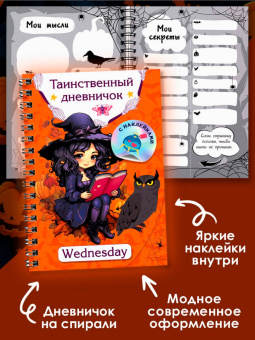 Валентина Дмитриева: Таинственный дневничок. Wednesday