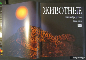 Животные