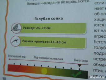 Моя первая книга о животных