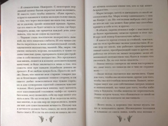 Вероника Мелан: Тринадцатая Мара