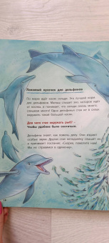 Фридерун Райхенштеттер: Дельфинчик и его морские соседи. Познавательные истории