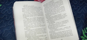 Пенелопа Дуглас: Дурное поведение