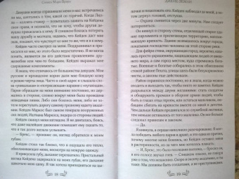 Стейси Браун: Дикие Земли