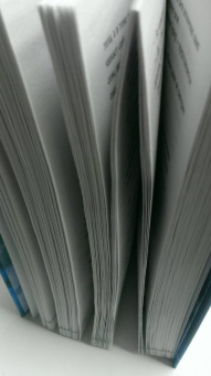 Сара Пирс: Скала Жнеца