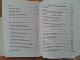 Осип Мандельштам: Сумерки свободы