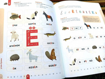 Ирина Мальцева: Буквы. Учимся уверенно узнавать буквы и слова. 5-6 лет