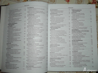 Иван Куреннов: Грибы. Полная иллюстрированная энциклопедия