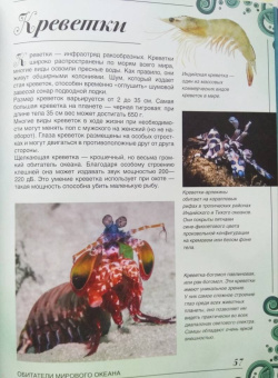 Вячеслав Ликсо: Большая книга о подводном мире. 1001 фотография