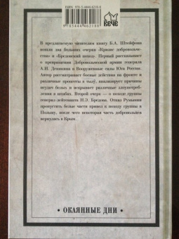 Борис Штейфон: Кризис добровольчества. Бредовский поход